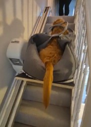 Castle Comfort Stairlifts Review by Samantha Howard